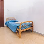 Lucy's Flat -