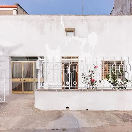 Lucy's Flat - Appartement