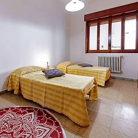 Lucy's Flat - *
